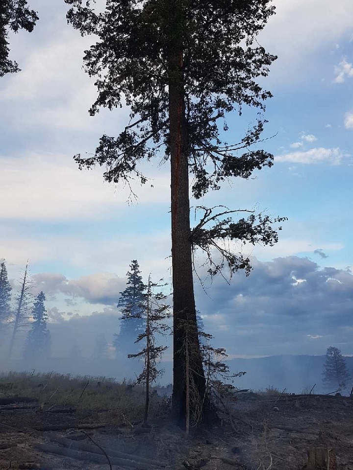 A small forest fire northwest of West Kelowna has been fully contained.
