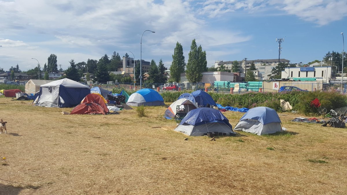 Homeless campers have occuped Saanich's Regina Park since May. 