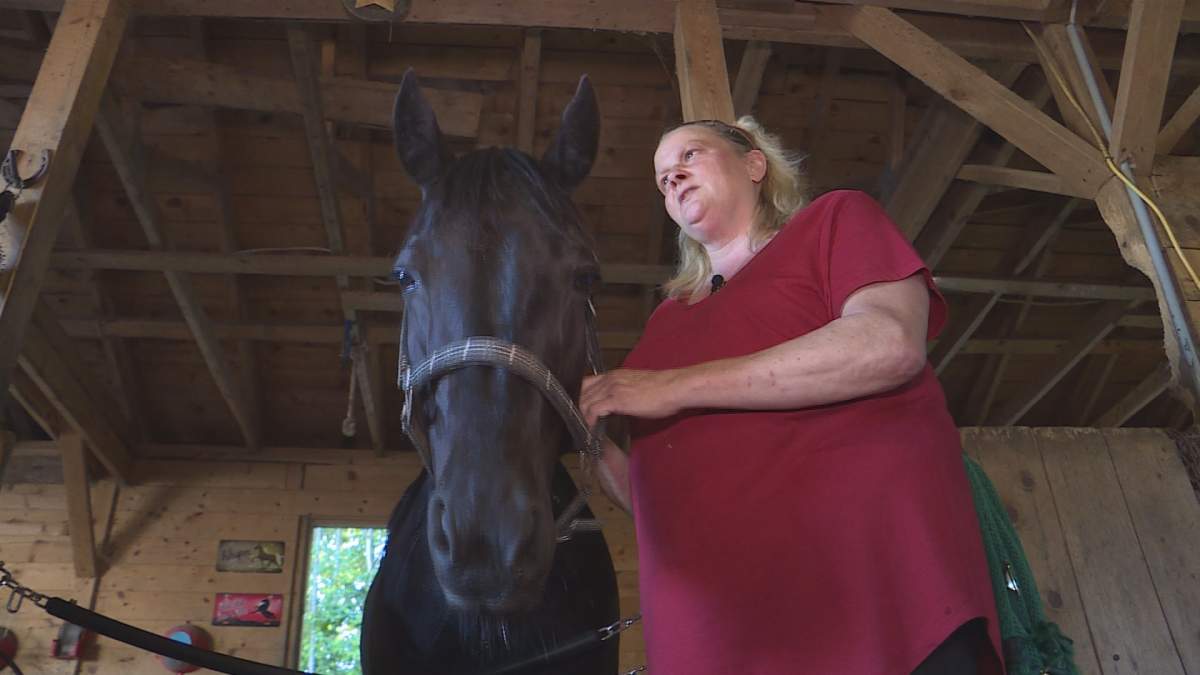 Angela Welburn says the animals she rescues are her family and is feels guilty for feeding them hay that likely made them sick.