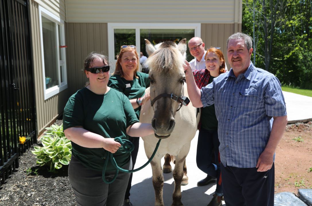 Billy the Norwegian Fjord horse is shown with Krisandra Cairns RN, Master of Science student at UNB, left to right, professor of animal science at Atlantic Veterinary College (AVC), Dr. Mary McNiven, manager of the Palliative Care Centre Peter Howatt, second-year veterinary student at AVC Justine MacPherson and day patient Kerry McKenna during a visit to the PEI Palliative Centre Centre in Charlottetown, P.E.I., in this recent handout photo.