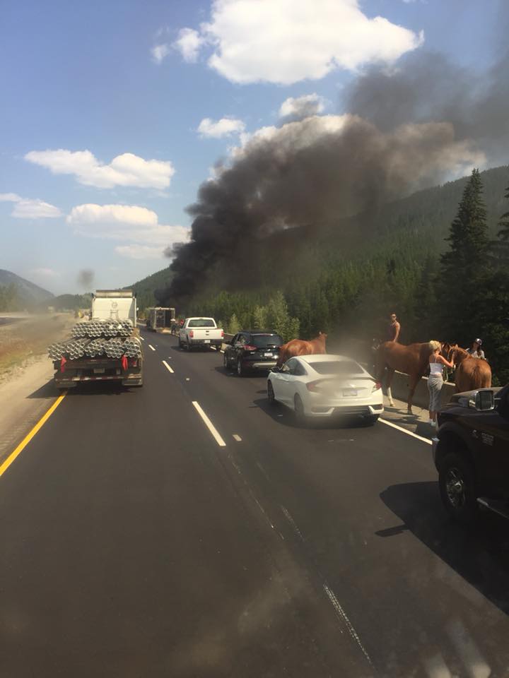 Four horses were stranded on the side of the Coquihalla highway after their hauler's truck caught fire. 