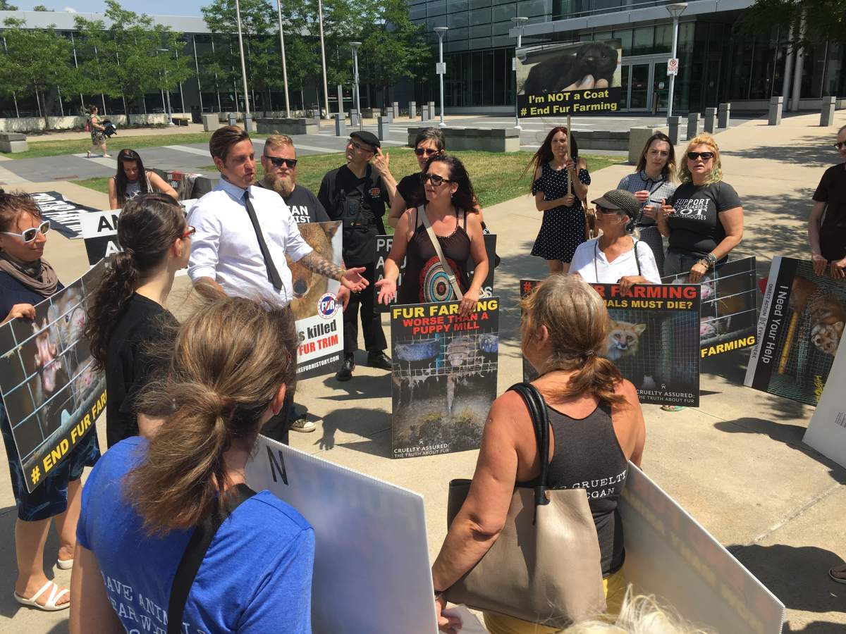 Animal rights activist charged with break and enter, makes first court appearance - image