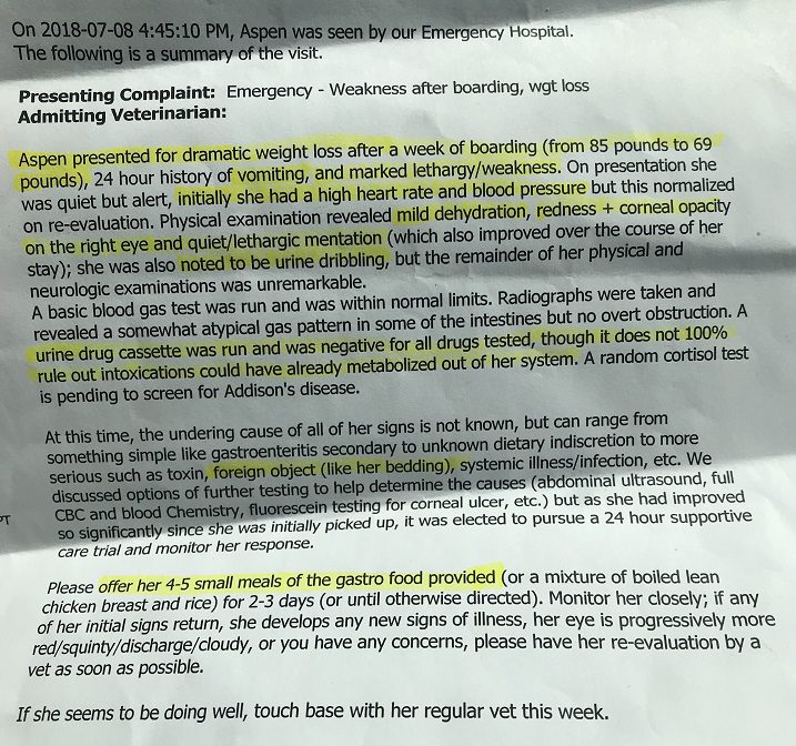 The emergency vet’s diagnosis of Aspen.