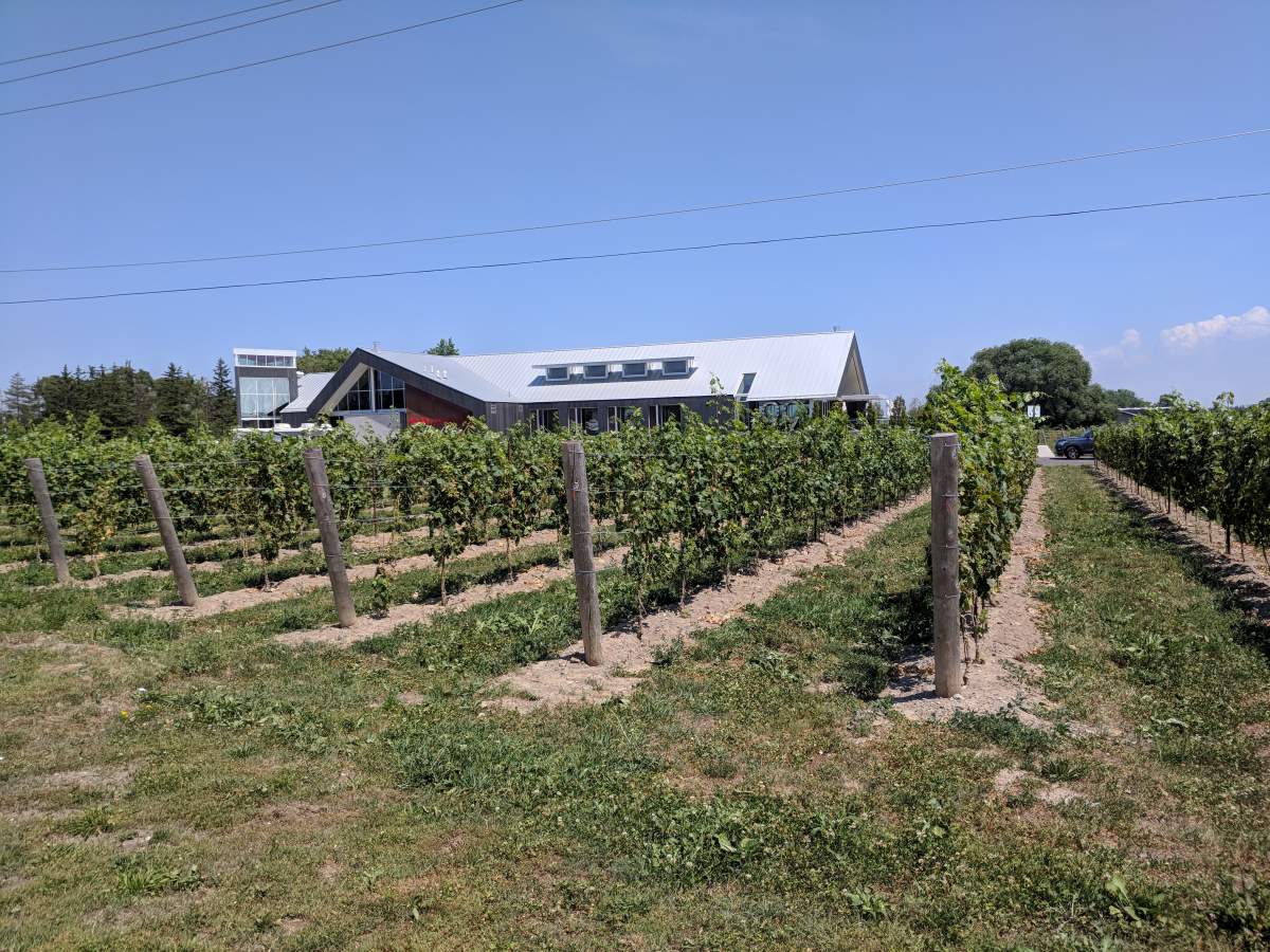 Wayne Gretzky Estates Winery and Distillery, is one of many vineyards in Niagara-on-The-Lake.