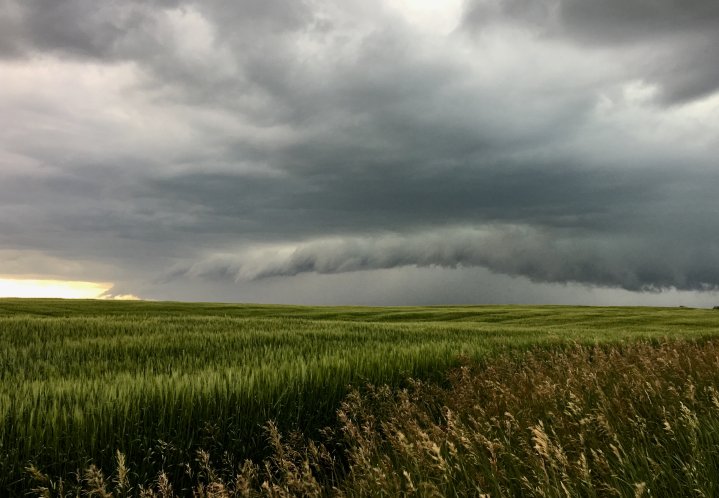 Hail, heavy rain and flooding seen in Calgary and ...