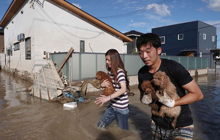 Residents rescue dogs from flooded area in Kurashiki, Okayama prefecture on July 8, 2018.