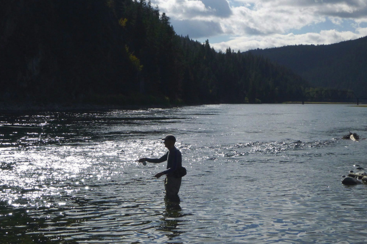 American officials are accusing their Canadian counterparts of sitting on damning new data about toxic chemicals from British Columbia coal mines in waters shared by both countries.