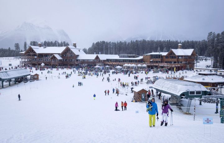 A world-renowned Alberta ski resort is appealing a $2.1-million-dollar fine it received for cutting down endangered trees five years ago.