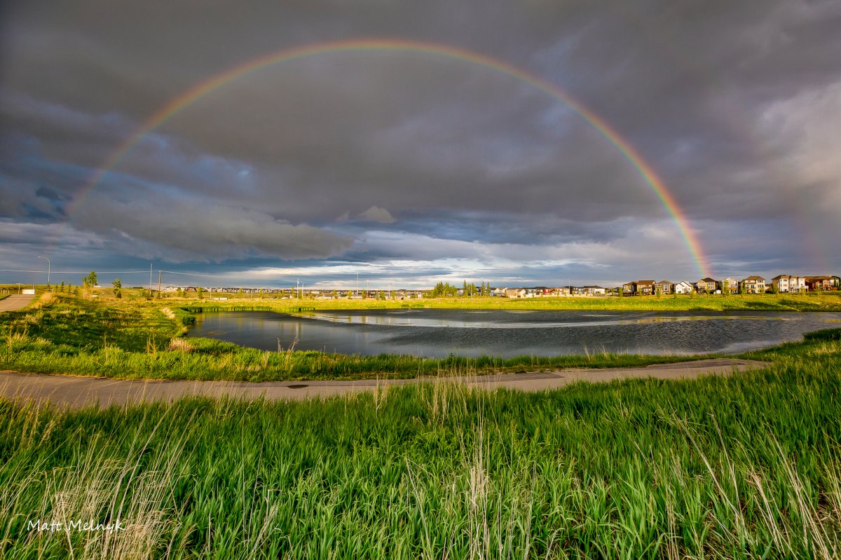 Central Alberta sees over 100 mm of rainfall in 48 hours - image