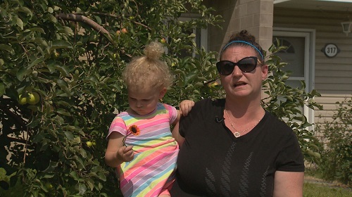 Amy-Lynn Schrammel was shocked to see a moose two feet from her window on Wednesday.