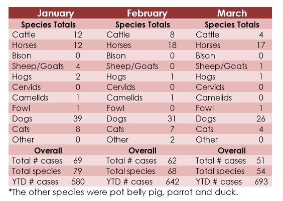Animal welfare complaints, investigations on the rise in Saskatchewan - image