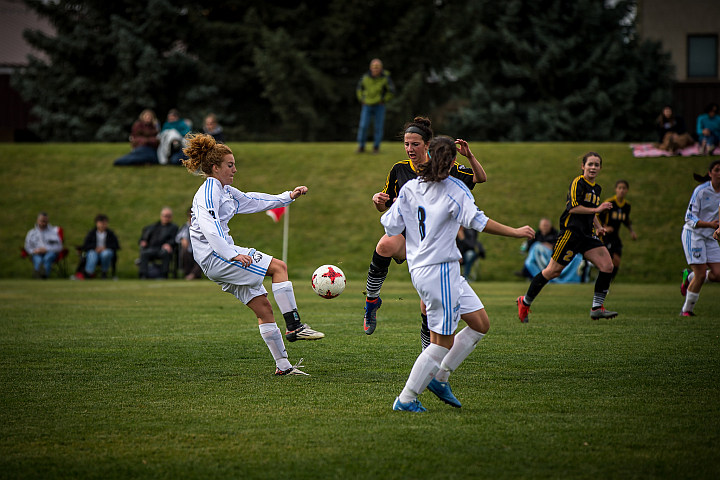 Payden Olsen, Lethbridge Kodiaks