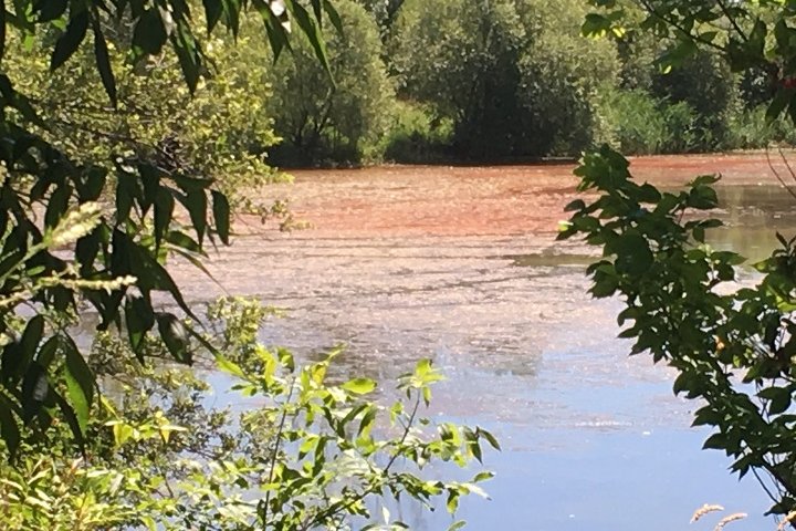 Work underway to assess if Etobicoke fire toxic spill leaked into Lake Ontario