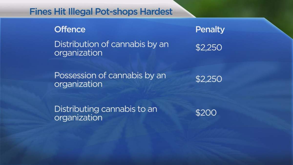 Illegal dispensaries will be hit with the highest fines in an effort to deter illicit organizations.