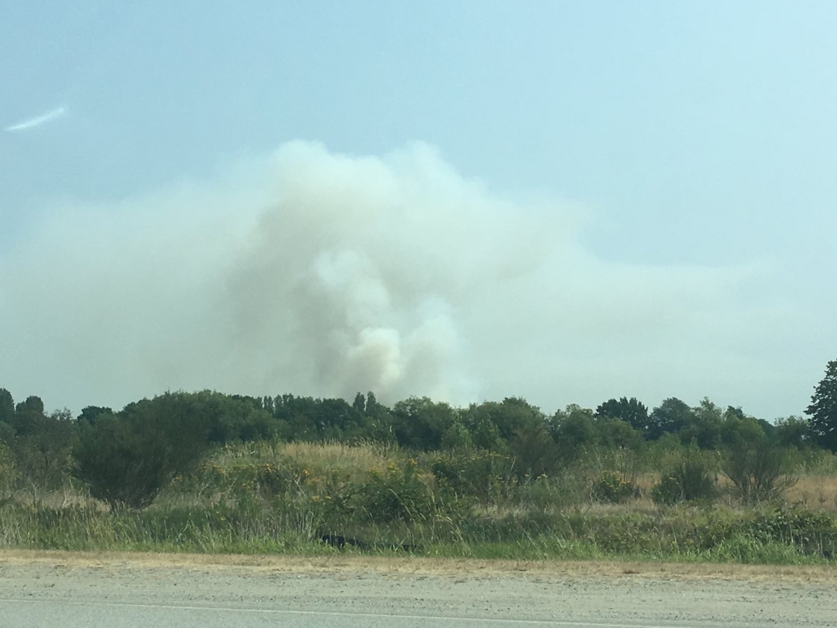 Richmond bog fire could be out on Monday or Tuesday deputy fire chief