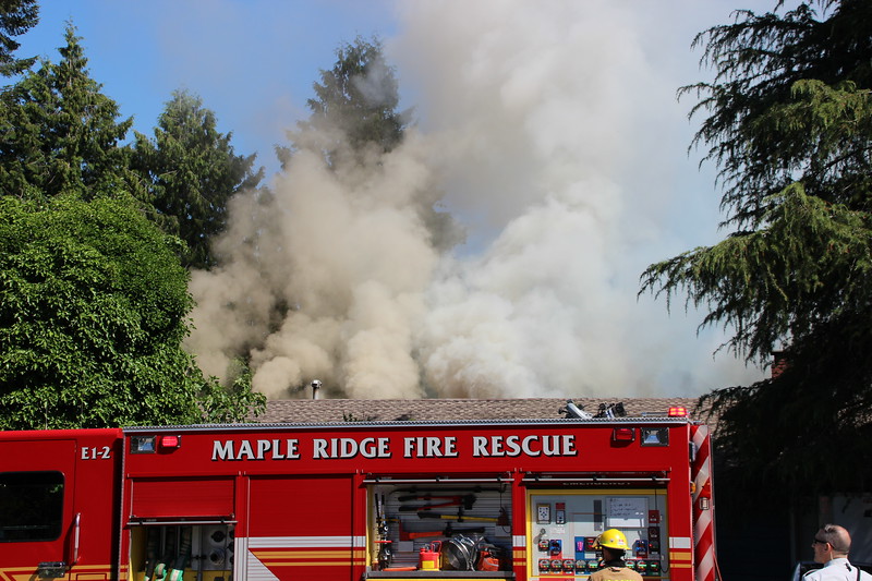 Kittens rescued from burning Maple Ridge home - BC | Globalnews.ca