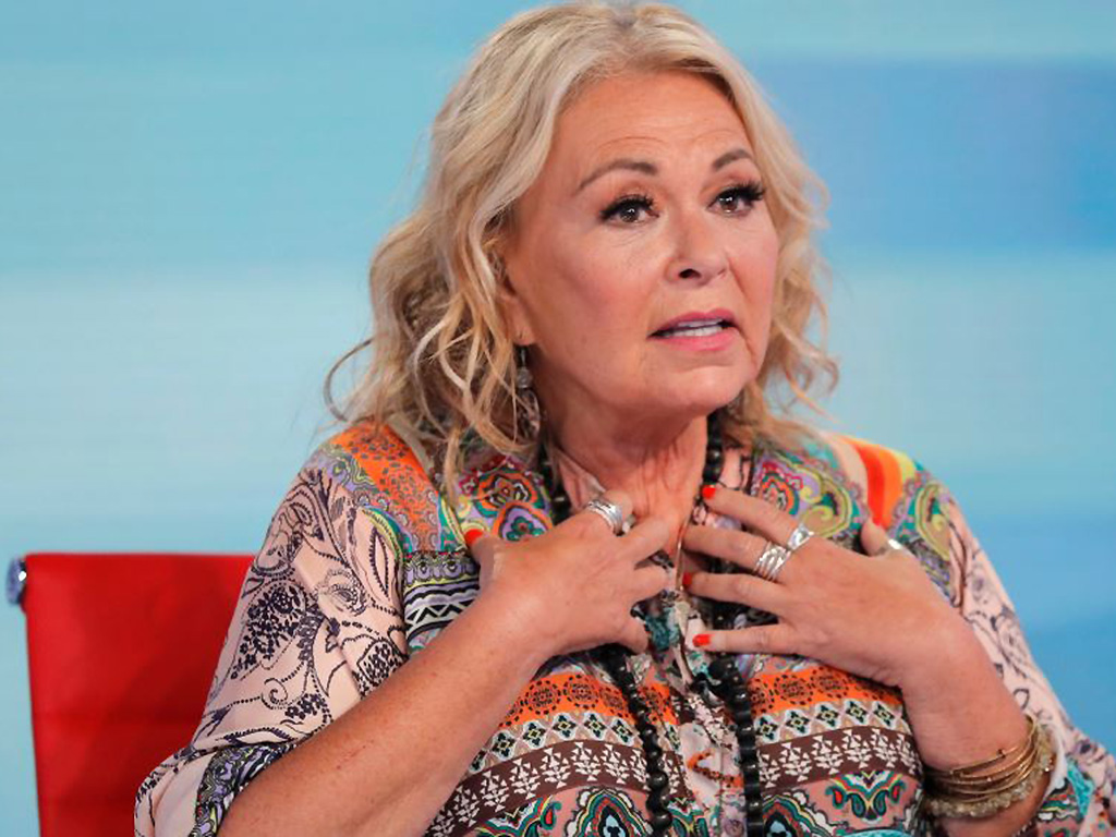 Roseanne Barr gives first TV interview since racist tweet: 'It cost me everything' - National | Globalnews.ca