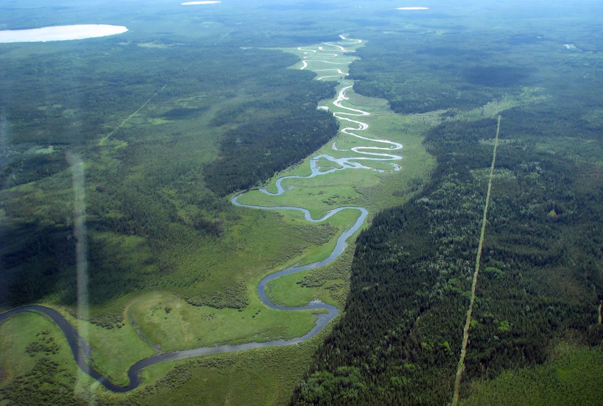 Aerial view of a site near Fort McMurray, Alberta, Canada, where prospectors have cleared trees (right) to create a seismic line to look for oil deposits.