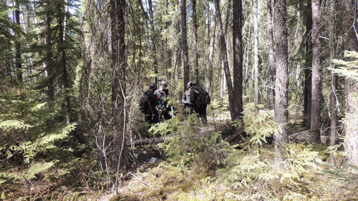 Explor PinPoint crew are seen acquiring Ultra High Density 3D seismic data in an oil sands region without seismic lines in this undated handout photo. 