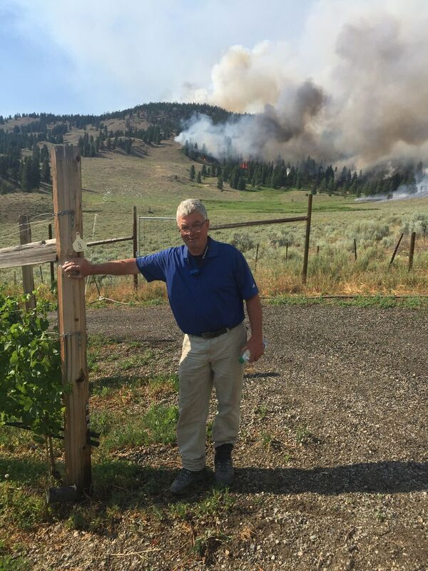 Firefighters, workers jump into action to save Summerland-area vineyard - image