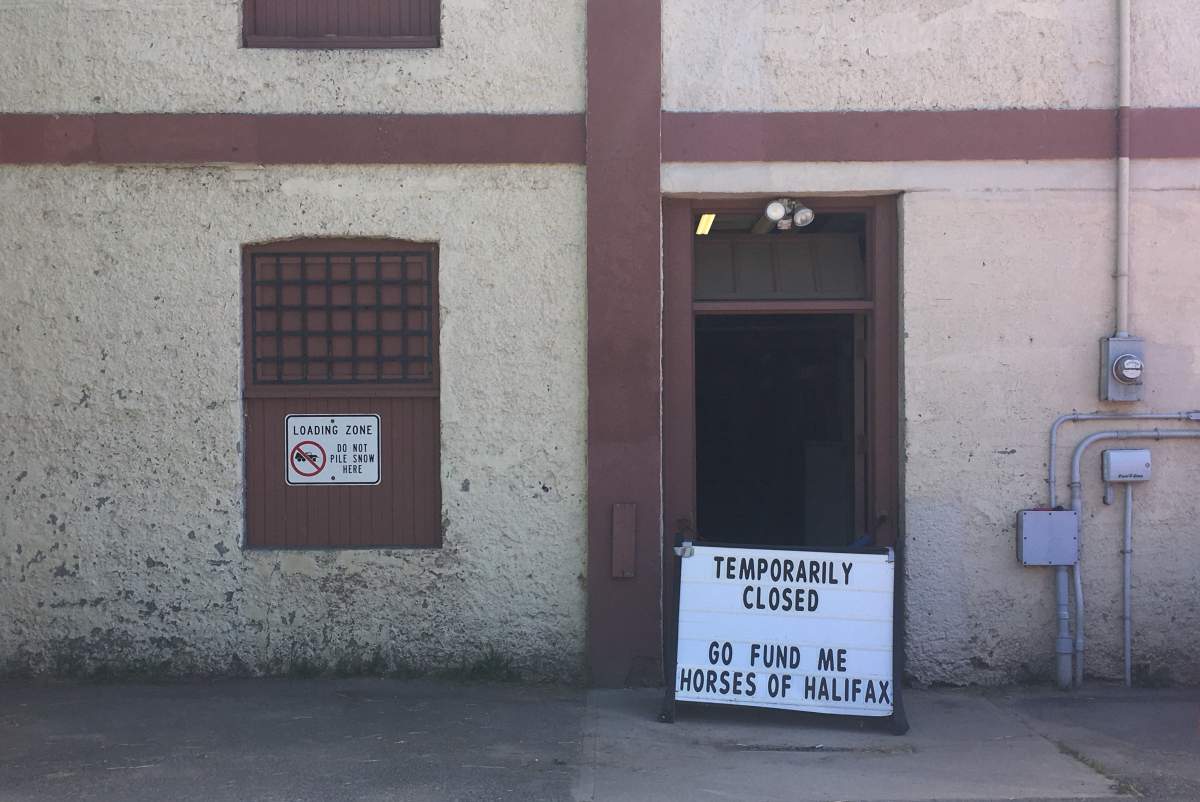 Halifax Junior Bengal Lancers, a not-for-profit equestrian school, has been closed since the end of May due to the presence of strangles. 