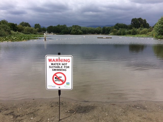 Vancouver’s Trout Lake is closed to swimming due to high bacterial levels most likely caused by bird droppings.