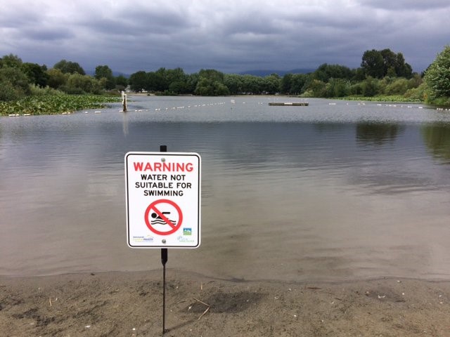 Vancouver's Trout Lake is closed to swimming due to high bacterial levels most likely caused by bird poop. 