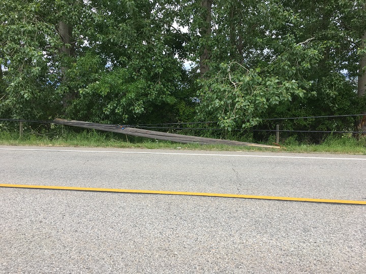 The driver of a Kia Sorrento died Tuesday morning when the vehicle left the road and hit this power pole.