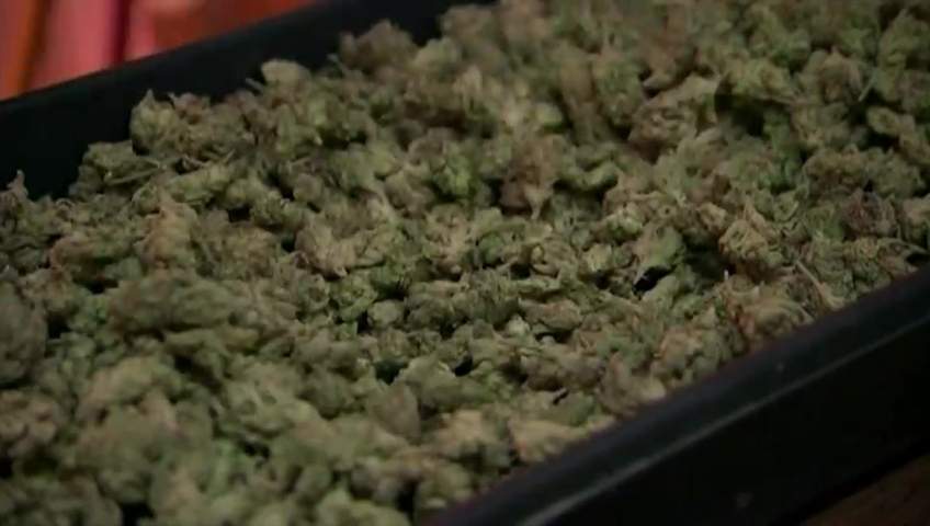 Pot will be legal on Oct. 17, 2018.
