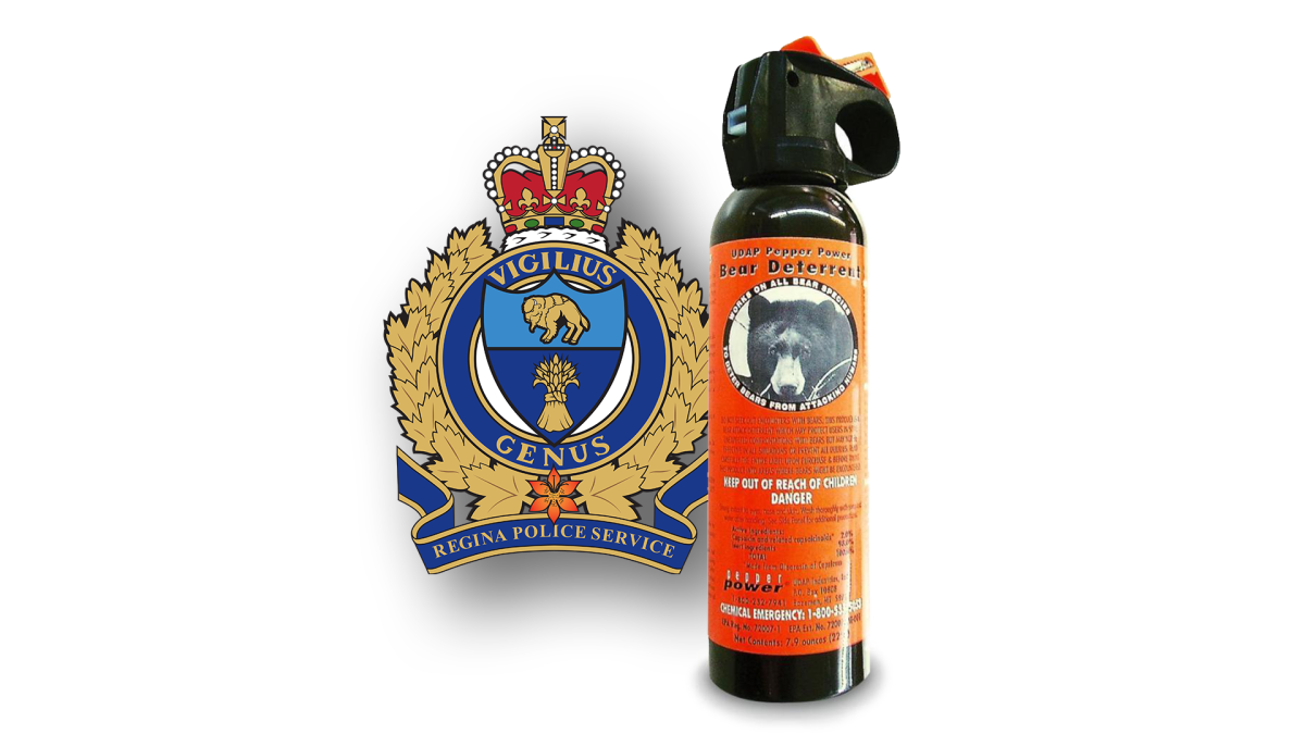Regina Police investigate bear spray attacks in North Central - image
