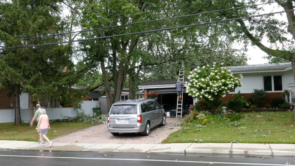 Heavy rain and winds have brought down branches and trees in Montreal’s West Island.