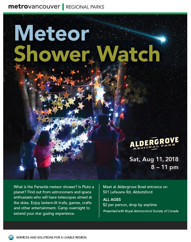 Meteor Shower Watch - image