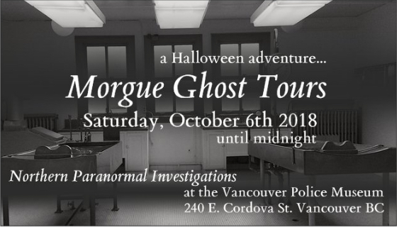 Mystics at the Museum & Morgue Ghost Tours - image