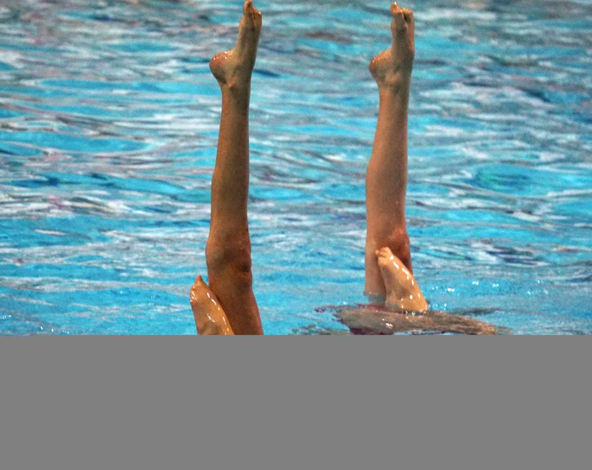 Free Adult Synchro try-it - image
