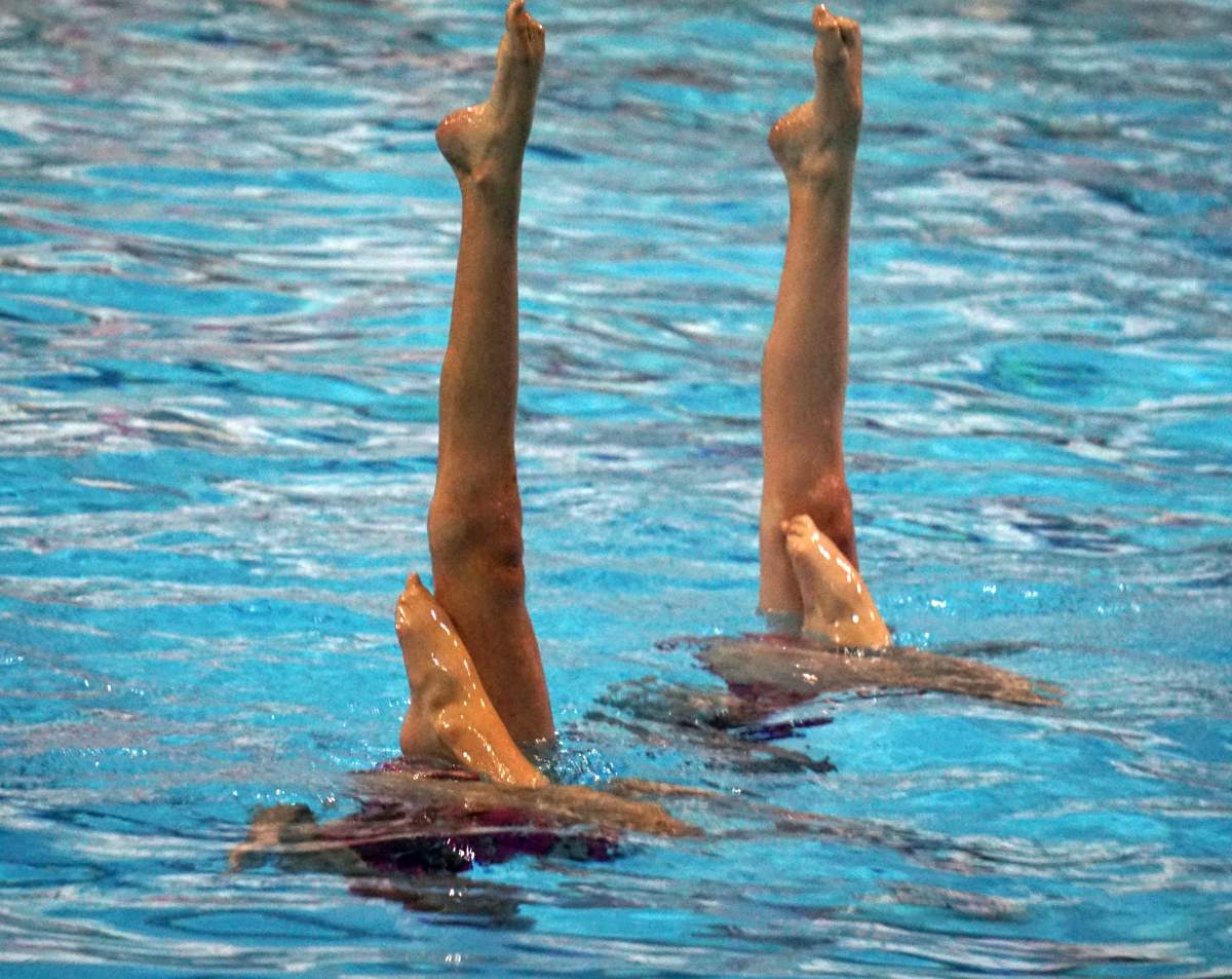 Free Adult Synchro try-it - image