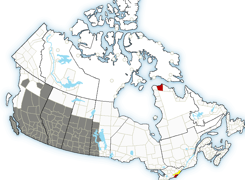 What you need to know to survive the haze from B.C. wildfires ...