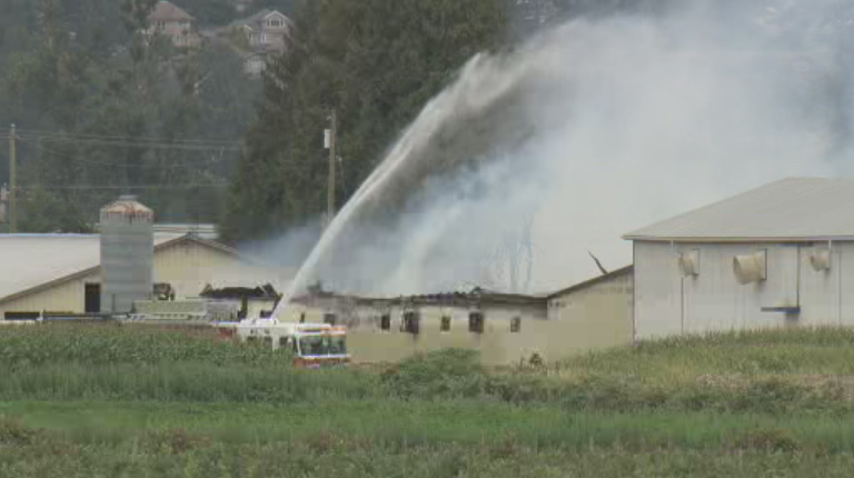 Fortunately, this barn in Abbotsford was empty at the time of the fire, and no people or animals were hurt. 