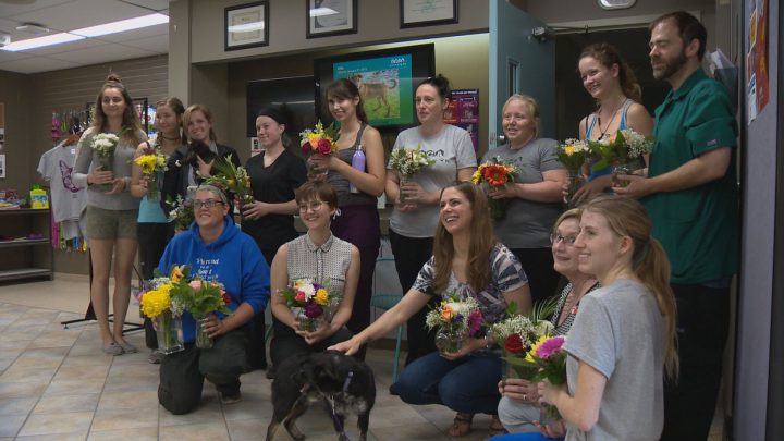 The Saskatoon SPCA received flowers on Friday through The Bleeding Heart Project.
