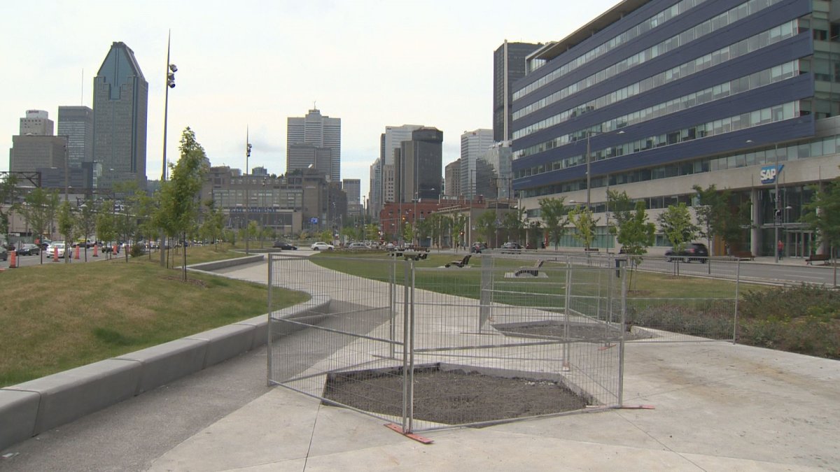 Repairs needed less than a year after Bonaventure Expressway park opens - image