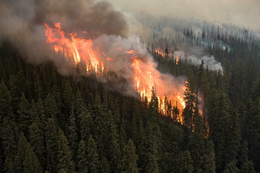 The Boundary wildfire on Aug. 25, 2018.