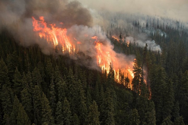 2018 Wildfire Season Now The Worst On Record For Hectares Burned Bc