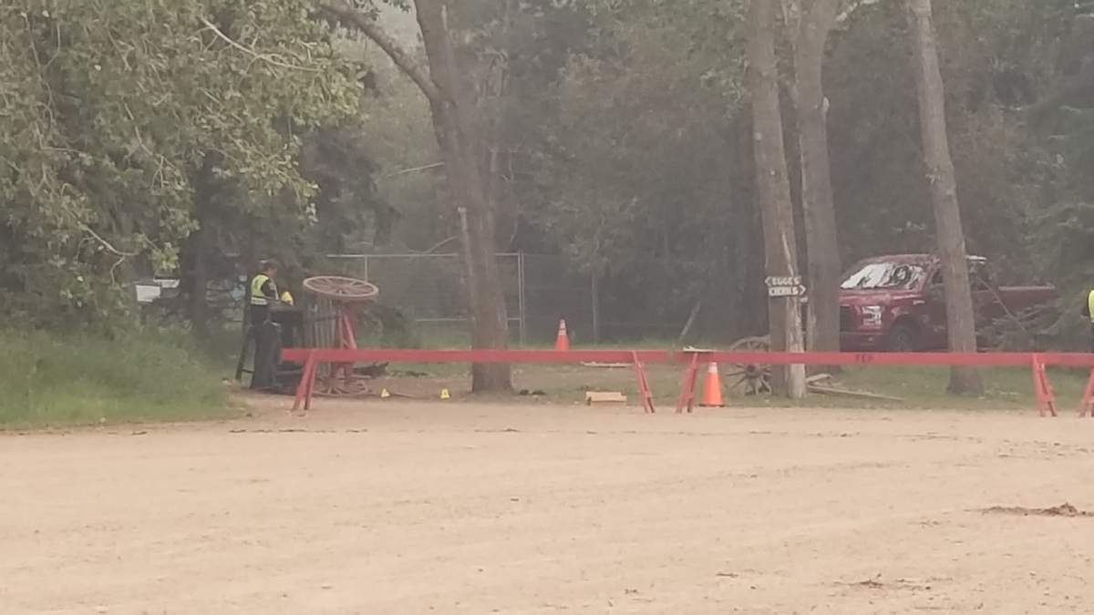 An investigator looks at the scene of a carriage crash at Fort Edmonton Park.