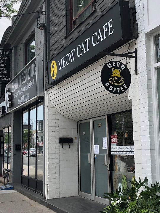 Meow Cat Cafe in Toronto.