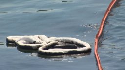 Continue reading: Halifax Harbour oil spill cleanup to take weeks: Nova Scotia Power