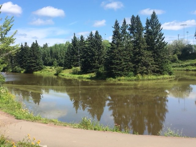 The City of Moncton has put out a precautionary advisory about blue-green algae at Centennial Park Pond.