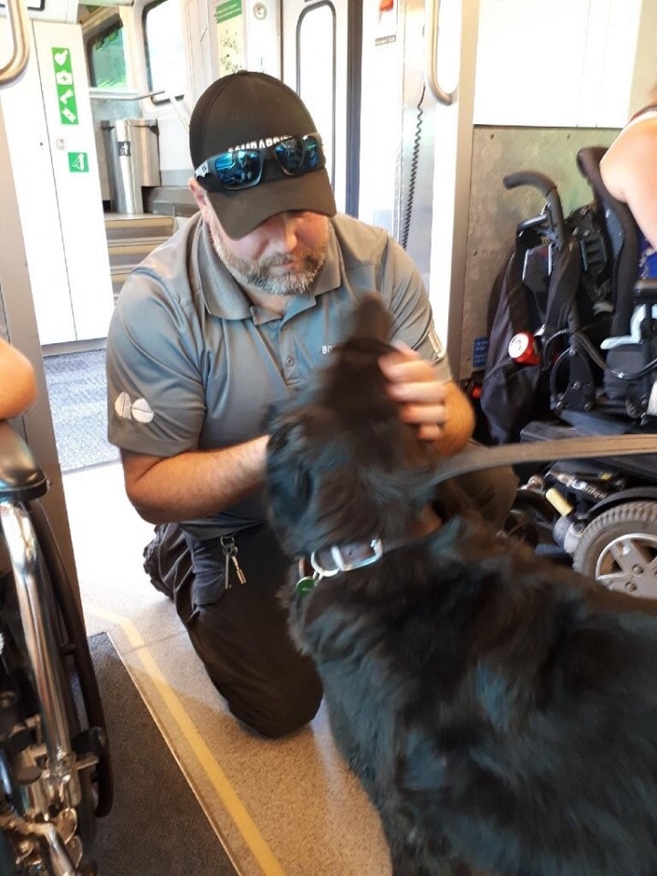 Erik Peterson, a Go train customer service agent, is the one who discovered Marley wandering along the train.