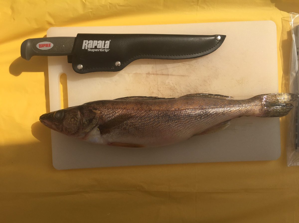 Brent Poole says a fish, a cutting board and a knife are all you need to learn filleting skills.