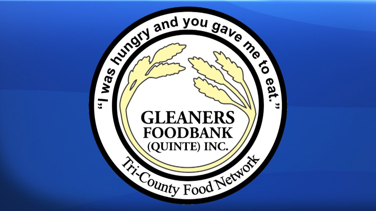 Gleaners Annual Food Drive - image