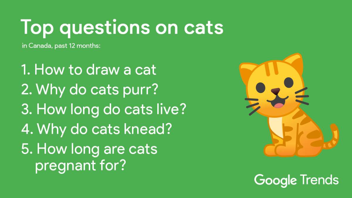 Cat trends in Canada