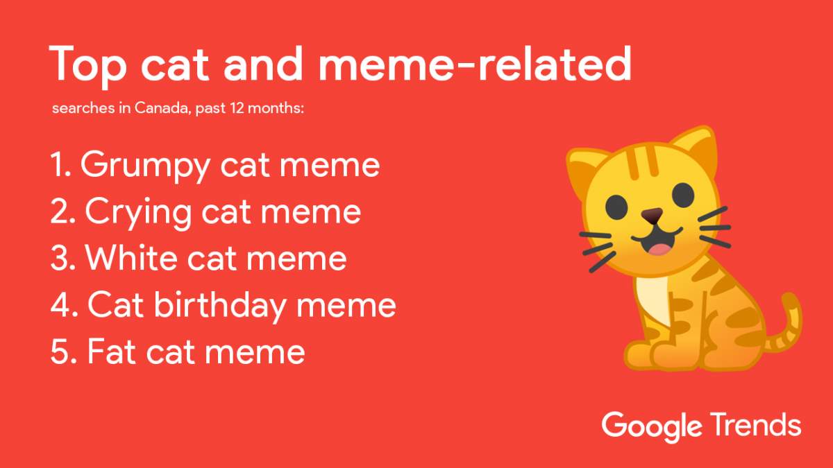 Cat trends in Canada